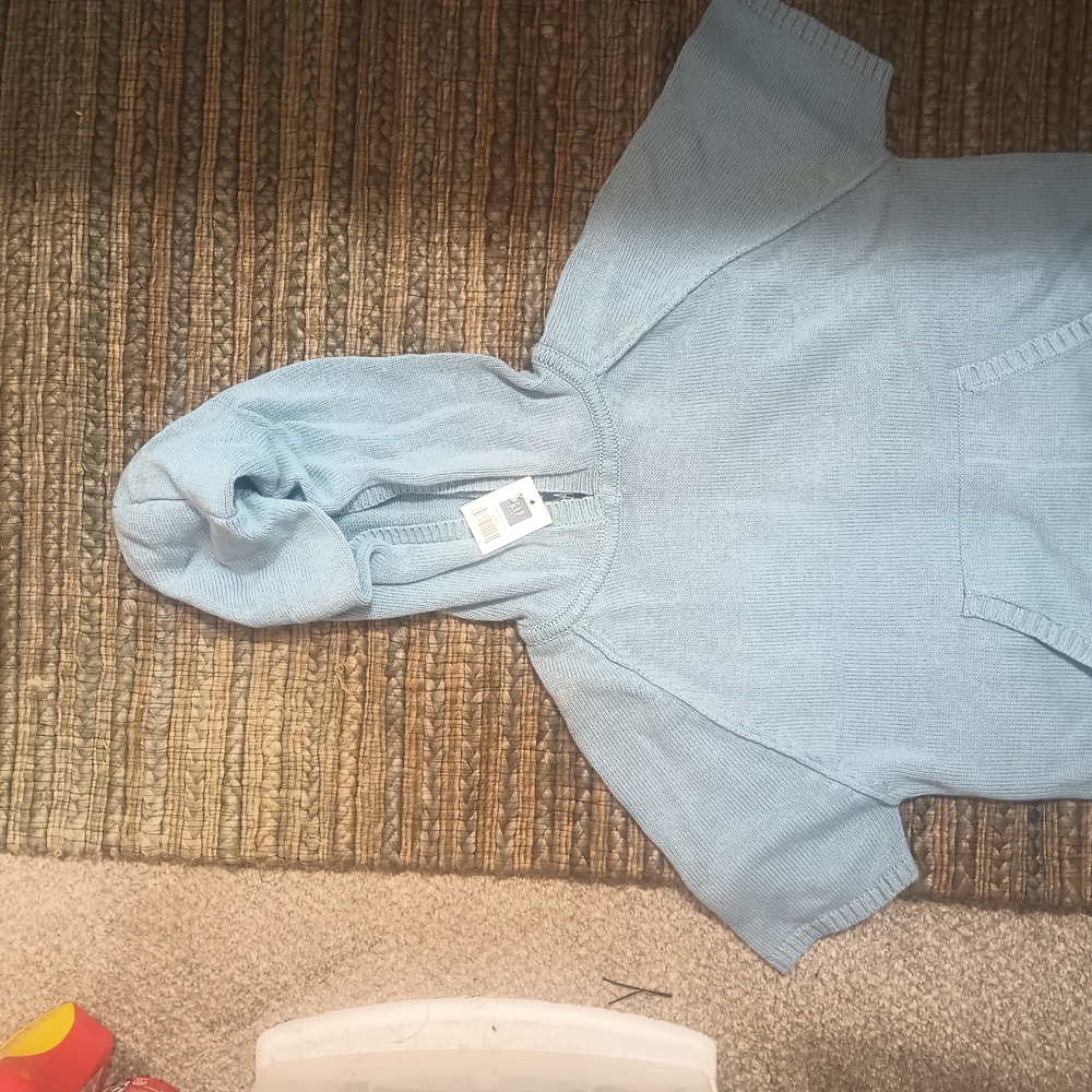 GAP Kids Sky Blue Hooded Sweater